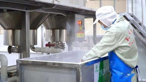 芷江 整合资源赋能，守护舌尖安全，驱动米粉产业升级与科技研发融合